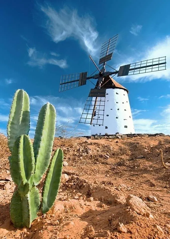 Amsterdam Lovely Apartment Gran Tarajal 0*,  Spain